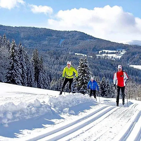 Near Skiing Hotel